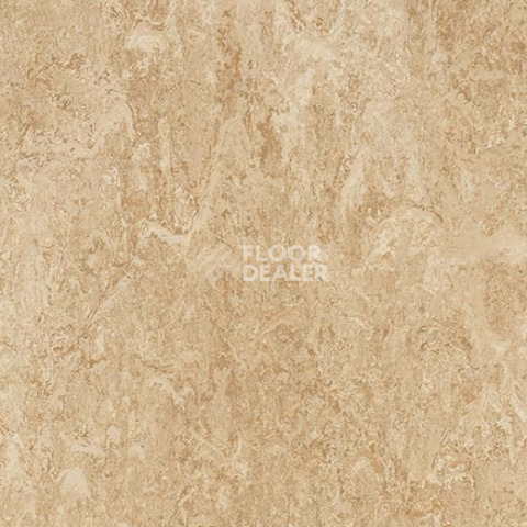 Кварцвиниловые полы Forbo Marmoleum Modular t2707 barley фото 1 | FLOORDEALER